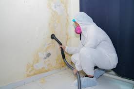 Best Mold Removal for HVAC Installations in Hamilton College, NY